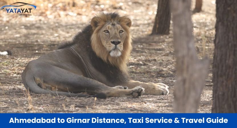 Ahmedabad to Girnar Distance